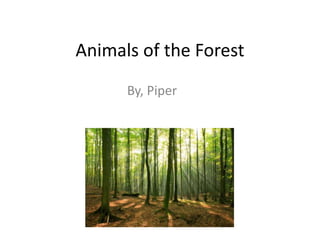 Animals of the Forest
      By, Piper
 