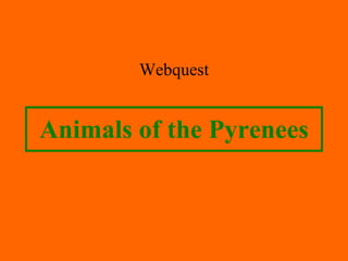 Animals of the Pyrenees Webquest 