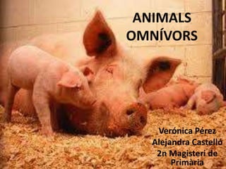 Verónica Pérez
Alejandra Castelló
2n Magisteri de
Primària
ANIMALS
OMNÍVORS
 