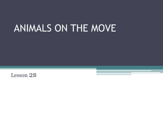 ANIMALS ON THE MOVE
Lesson 2B
 