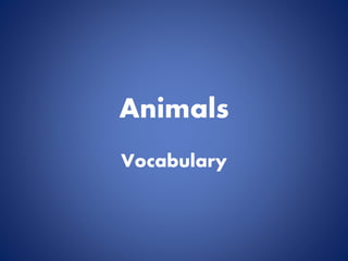 Animals 
Vocabulary 
 