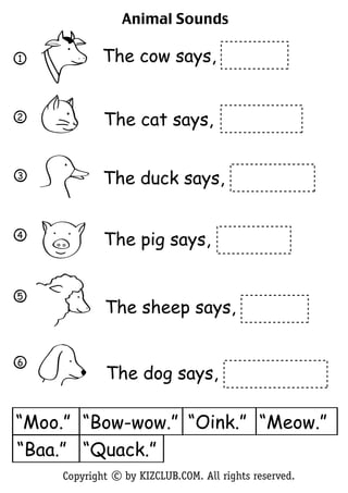 Animal Sounds

1           The cow says,


2
            The cat says,


3
            The duck says,


4
            The pig says,


5
            The sheep says,

6

#           The dog says,

“Moo.” “Bow-wow.” “Oink.” “Meow.”
“Baa.” “Quack.”
    Copyright c by KIZCLUB.COM. All rights reserved.