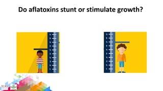 Animal-source foods, health, nutrition: Latest evidence