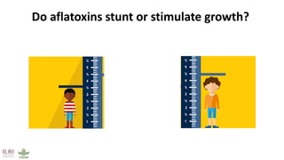 Animal-source foods, health, nutrition: Latest evidence