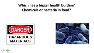 Animal-source foods, health, nutrition: Latest evidence