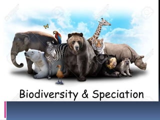 Biodiversity & Speciation
 