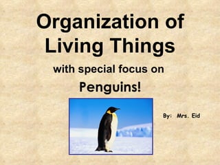 Organization of Living Things with special focus on   Penguins! By:  Mrs. Eid 