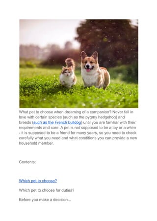 What pet to choose when dreaming of a companion? Never fall in
love with certain species (such as the pygmy hedgehog) and
breeds (such as the French bulldog) until you are familiar with their
requirements and care. A pet is not supposed to be a toy or a whim
- it is supposed to be a friend for many years, so you need to check
carefully what you need and what conditions you can provide a new
household member.
Contents:
Which pet to choose?
Which pet to choose for duties?
Before you make a decision...
 