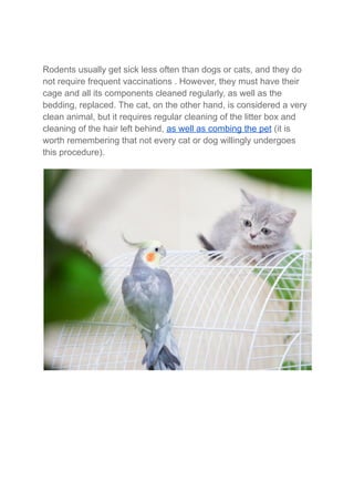 Rodents usually get sick less often than dogs or cats, and they do
not require frequent vaccinations . However, they must have their
cage and all its components cleaned regularly, as well as the
bedding, replaced. The cat, on the other hand, is considered a very
clean animal, but it requires regular cleaning of the litter box and
cleaning of the hair left behind, as well as combing the pet (it is
worth remembering that not every cat or dog willingly undergoes
this procedure).
 