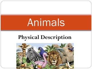 Animals 
Physical Description 
 