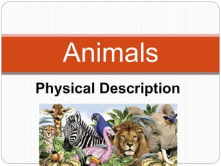 Animals 
Physical Description 
 