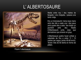 L‟ ALBERTOSAURE
                         Media entre nou i deu metres de
                         llargada i cinc d‟alçada, i pesava una
                         tona i mitja.
                         Era un tiranosàurid i tenia dues mans
                         amb dos dits a cada una i dos peus
                         amb quatre dits a cada. Van trobar un
                         jaciment     amb        deu     fòssils
                         d‟Albertosaure junts, cosa que
                         demostrava que anaven en grup.
                         L‟Albertosaure podria haver arribat a
                         velocitats de fins a entre 11 i 13
                         metres per segon (entre 40-48 km/h).
                         Tenien més de 60 dents en forma de
                         plàtan.

Fòssil d‟ albertosaure
 