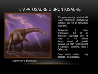 L„ APATOSAURE O BRONTOSAURE
                             En aquesta imatge tan sinistra hi
                            veiem l‟Apatosaure (Apatosaurus
                            excelsus, que vol dir llangardaix
                            enganyós).
                            Antigament        li       deien
                            Brontosaure, que és un
                            dinosaure sauròpode que va
                            viure     fa    140      milions
                            d‟anys, durant el període
                            Juràssic, als EUA (concretament
                            a Colorado, Wyoming, Utah i
                            Oklahoma).
                            Feien quatre metres i mig
                            d‟alçada i 26 de llargada.
Apartosaure o Brontosaure
 