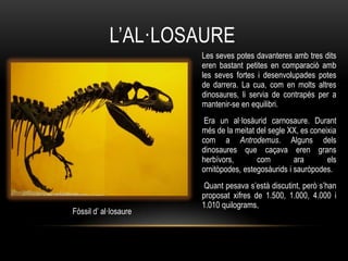 L‟AL·LOSAURE
                       Les seves potes davanteres amb tres dits
                       eren bastant petites en comparació amb
                       les seves fortes i desenvolupades potes
                       de darrera. La cua, com en molts altres
                       dinosaures, li servia de contrapès per a
                       mantenir-se en equilibri.
                        Era un al·losàurid carnosaure. Durant
                       més de la meitat del segle XX, es coneixia
                       com a Antrodemus. Alguns dels
                       dinosaures que caçava eren grans
                       herbívors,       com         ara       els
                       ornitòpodes, estegosàurids i sauròpodes.
                       Quant pesava s‟està discutint, però s‟han
                       proposat xifres de 1.500, 1.000, 4.000 i
                       1.010 quilograms.
Fòssil d‟ al·losaure
 