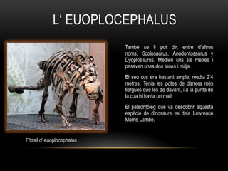 L„ EUOPLOCEPHALUS
                           També se li pot dir, entre d‟altres
                           noms, Scolosaurus, Anodontosaurus y
                           Dyoplosaurus. Medien uns sis metres i
                           pesaven unes dos tones i mitja.
                           El seu cos era bastant ample, media 2‟4
                           metres. Tenia les potes de darrera més
                           llargues que les de davant, i a la punta de
                           la cua hi havia un mall.
                           El paleontòleg que va descobrir aquesta
                           espècie de dinosaure es deia Lawrence
                           Morris Lambe.


Fòssil d‟ euoplocephalus
 