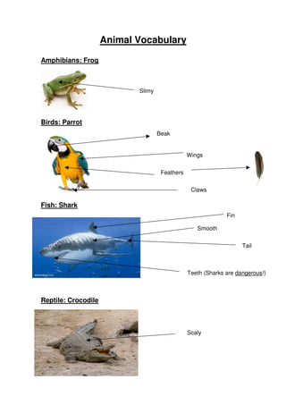 Animal Vocabulary
Amphibians: Frog

Slimy

Birds: Parrot
Beak

Wings
Feathers
Claws

Fish: Shark
Fin
Smooth
Tail

Teeth (Sharks are dangerous!)

Reptile: Crocodile

Scaly

 