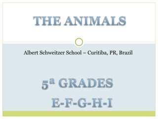 Albert Schweitzer School – Curitiba, PR, Brazil 