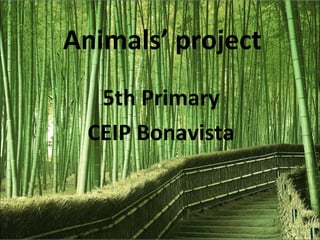 Animals’ project
5th Primary
CEIP Bonavista
 