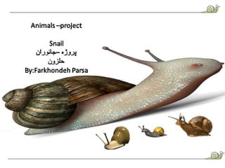 Animals –project  snail