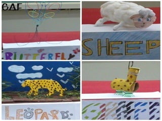 Animals Project 2013