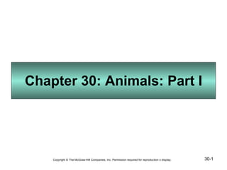 Chapter 30: Animals: Part I 30- Copyright © The McGraw-Hill Companies, Inc. Permission required for reproduction o display. 