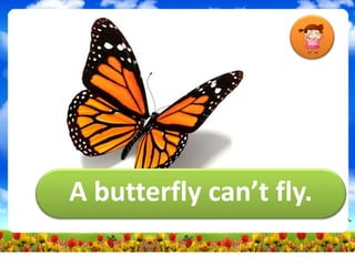 A butterfly can’t fly.
 