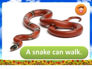 A snake can walk.
 
