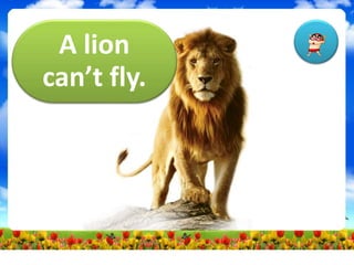 A lion
can’t fly.
 