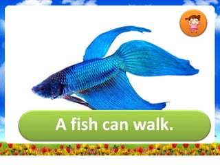 A fish can walk.
 