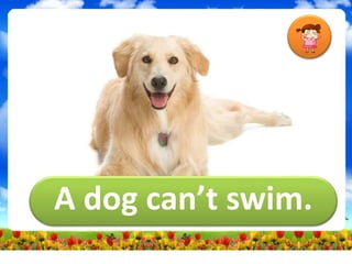 A dog can’t swim.
 