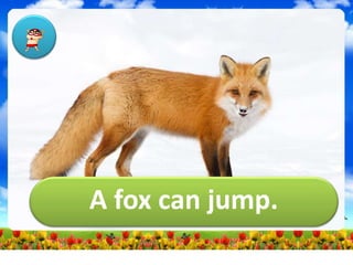 A fox can jump.
 