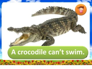 A crocodile can’t swim.
 