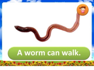 A worm can walk.
 