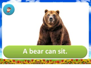 A bear can sit.
 
