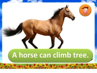 A horse can climb tree.
 