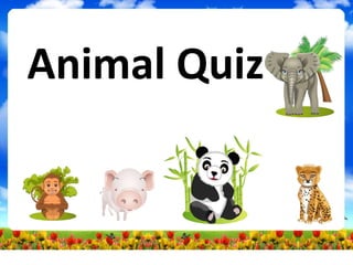 Animal Quiz
 