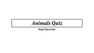 Animals Quiz | PPTX