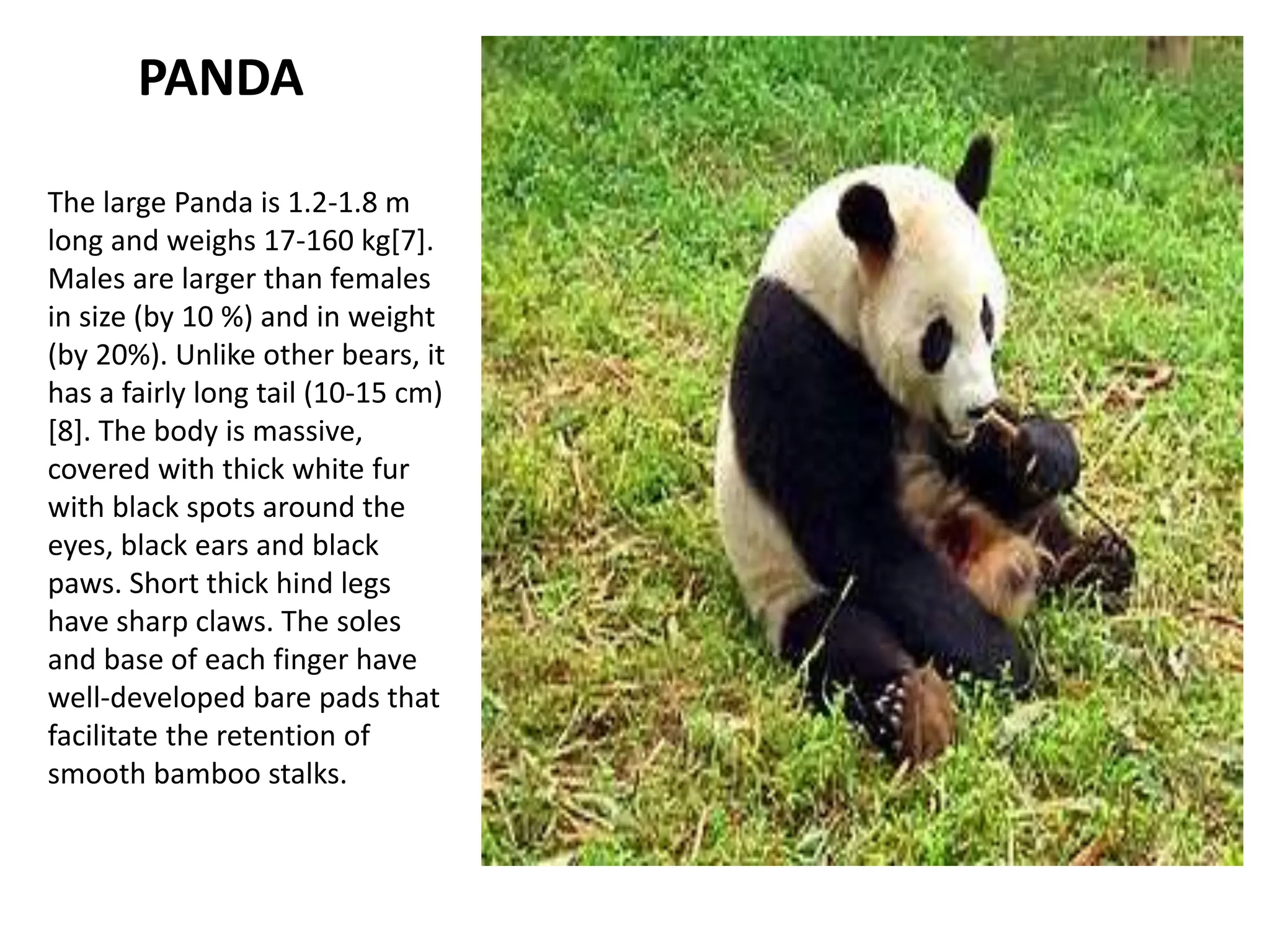 Animals registered in red book | PPTX