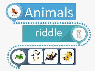 Animals
riddle
 