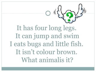 It has four long legs.
  It can jump and swim
I eats bugs and little fish.
   It isn’t colour brown.
     What animalis it?
 