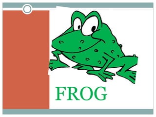 FROG
 