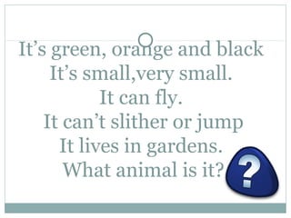 It’s green, orange and black
     It’s small,very small.
            It can fly.
    It can’t slither or jump
      It lives in gardens.
       What animal is it?
 