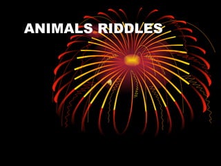 ANIMALS RIDDLES 