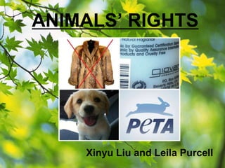 ANIMALS’ RIGHTS
Xinyu Liu and Leila Purcell
 