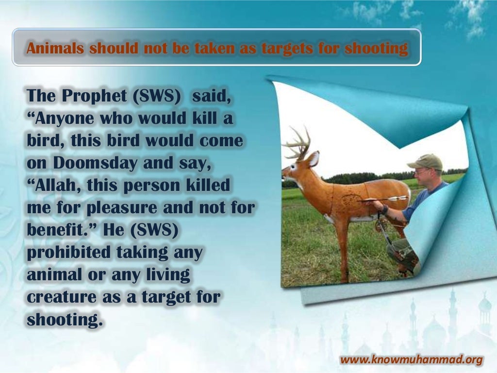 Animals' rights in islam