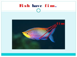 Fi s h have f i ns .



                       f i ns
 