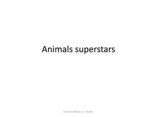 Animals superstars
Charline Waliyar, ac. Nantes
 