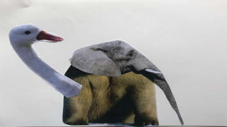 ANIMALS SURREALISTES.pptx