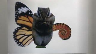 ANIMALS SURREALISTES.pptx