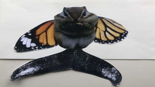 ANIMALS SURREALISTES.pptx